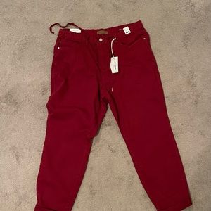 NWT Judy Blue Joggers 18W